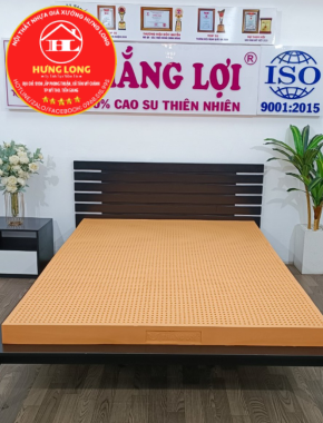 NỆM CAO SU THIÊN NHIÊN 100% SUSU - ORIGINAL