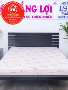 NỆM WIN FOAM THẮNG LỢI