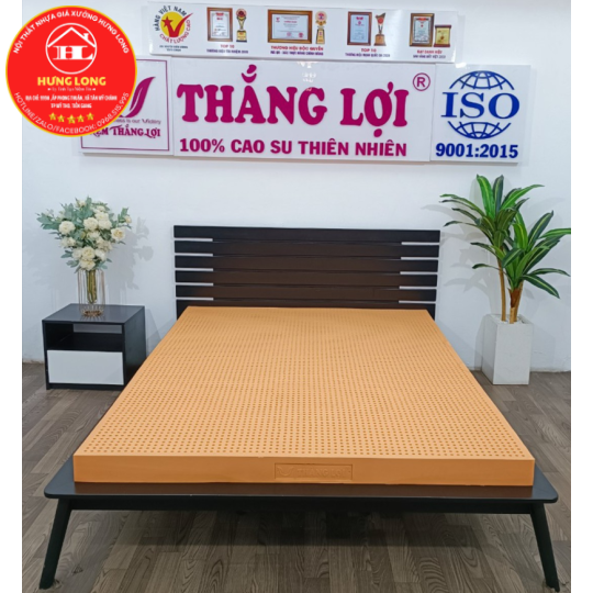 NỆM CAO SU THIÊN NHIÊN 100% SUSU - ORIGINAL