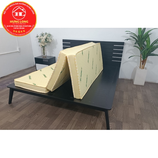 NỆM CAO SU NON THẮNG LỢI GẤP 3
