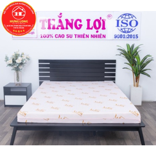 NỆM WIN FOAM THẮNG LỢI